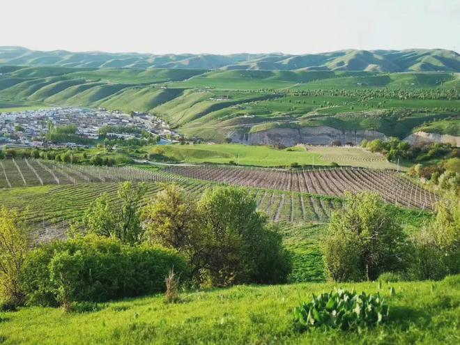 斬獲2024 CMB 10枚大獎，絲路酒莊彰顯國產葡萄酒強勁發展勢頭